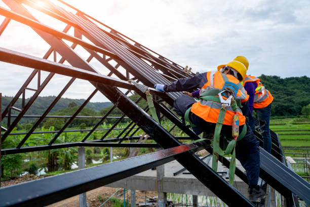 Best Storm Damage Roof Repair  in Madison, NE