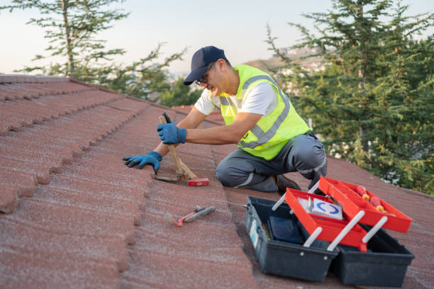 Best Emergency Roof Repair  in Madison, NE
